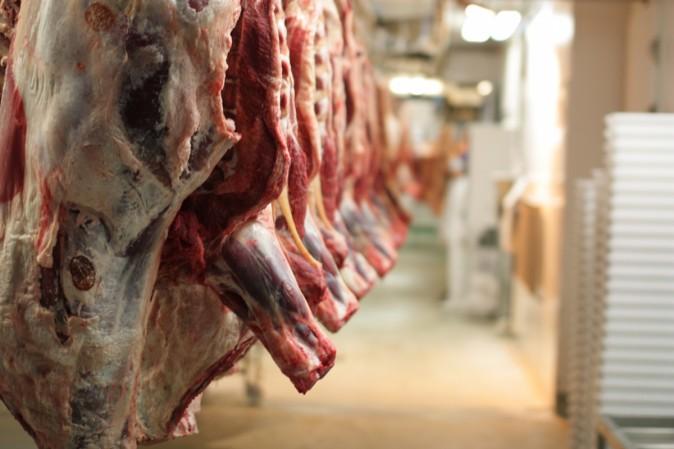 Slaughterhouse