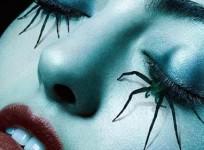 American Horror Story