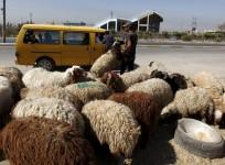 Eid Al-Adha