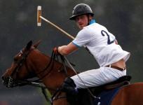 Prince Hary of Wales