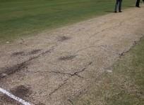 cricket pitch