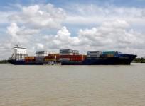 india trade data export import engineering gold deficit external services business global economy data commerce leather others good fine ok august rbi