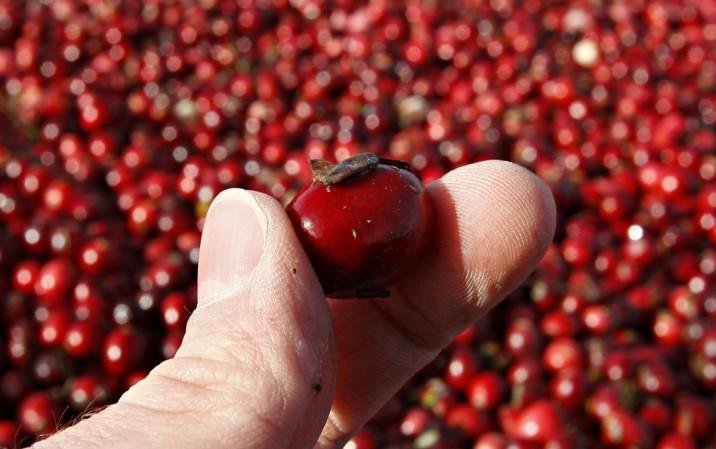 Cranberry