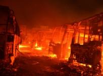 cauvery water dispute row controversy bandh bus burnt mob arson kpn travels natarajan buses woman arrested bhagyashree bengaluru strike bandh
