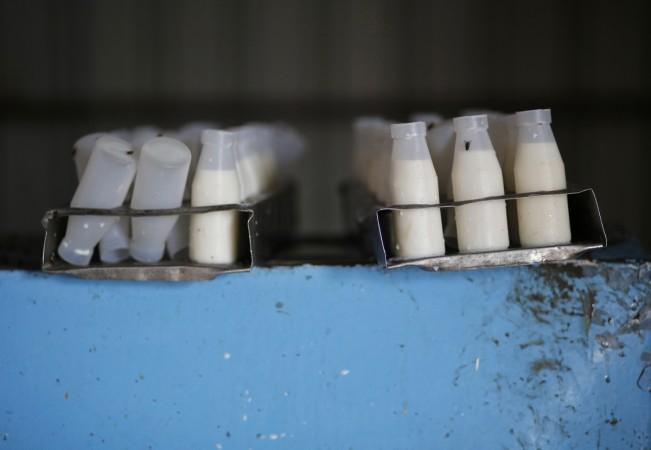 kwality dairy share price results stock q1 funding kkr milk products