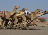 tourism-oman-india-relations-king-emperor-muscat-attractions-trade-bilateral-relations-gulf-indians-nri-workers-migrants-crude-oil-prices-natural-gas-sultan-qaboos