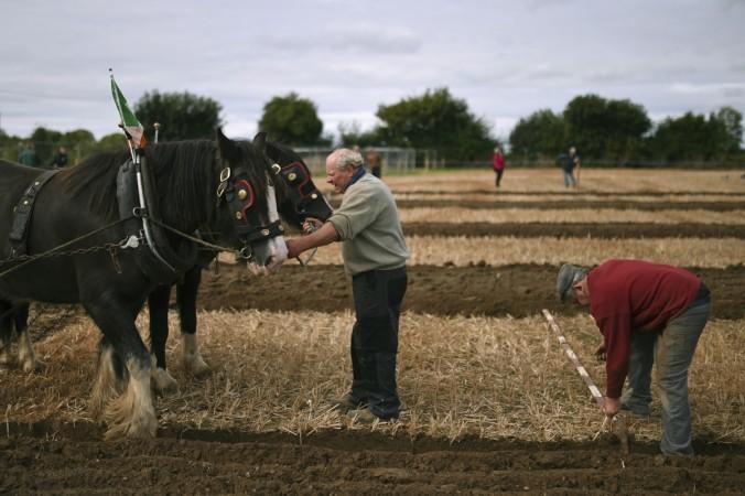 National ploughing championships