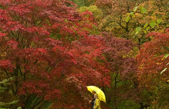 Autumn Equinox