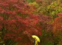 Autumn Equinox
