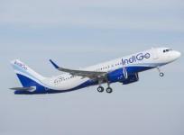 indigo airlines