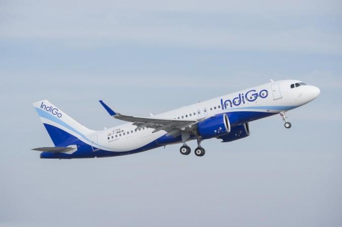 indigo airlines