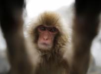 Camera-friendly animals