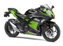 Kawasaki Ninja 300 KRT edition