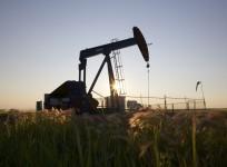 Crude Oil prices