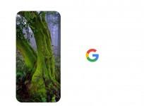 Google Pixel phone series launch live stream; How to watch unveiling on Apple iPhones, Android smartphones and PC