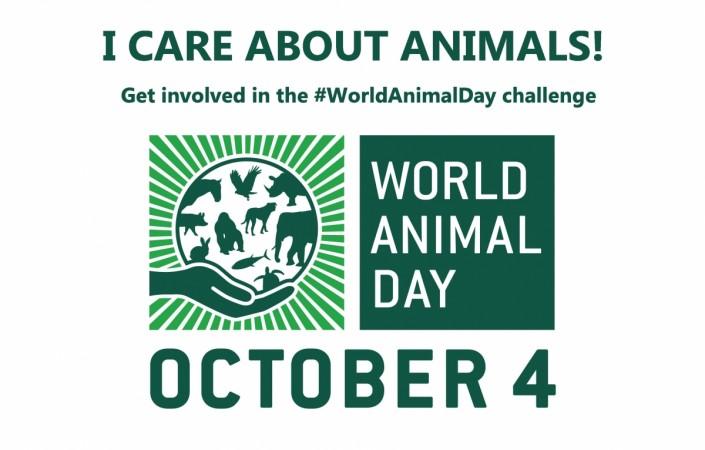 World Animal Day 2016: When is it and why is it celebrated? - IBTimes India