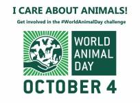 World Animal Day