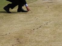 Cricket pitch