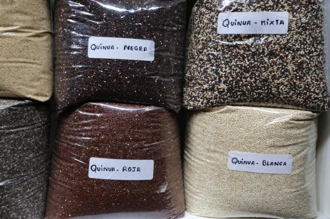 Varieties of quinoa