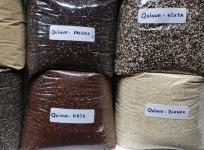 Varieties of quinoa