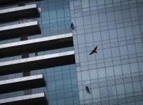 real estate brookfield hiranandani sale powai mumbai office space residential commercial transaction canadian canada