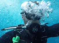 WWII bombs destroyed by the Australian navy