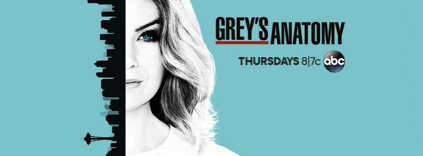 Pictured: The poster for Season 13 of Grey's Anatomy. Grey's Anatomy