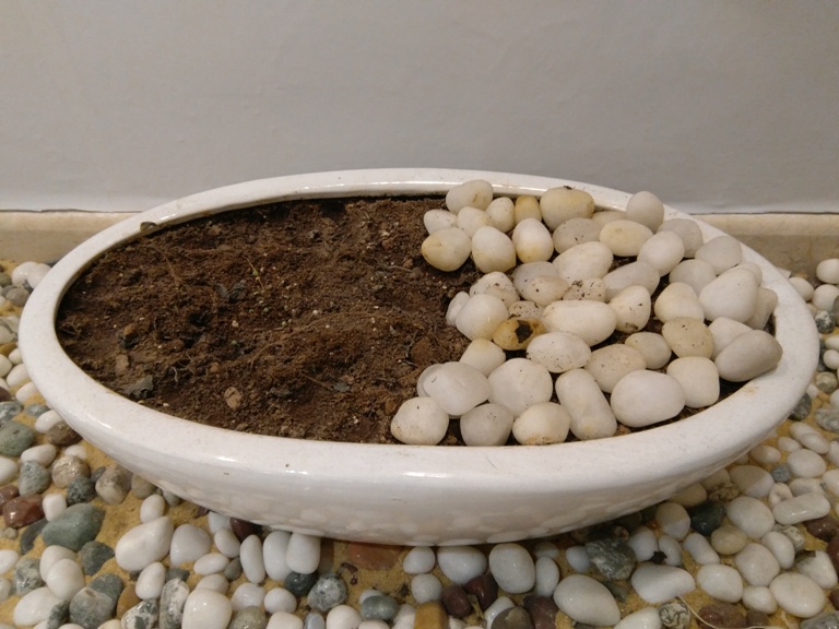 Lenovo Z2 Plus review Lenovo Z2 Plus review