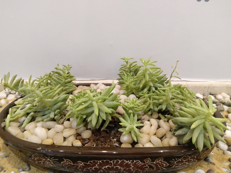 Lenovo Z2 Plus review Lenovo Z2 Plus review