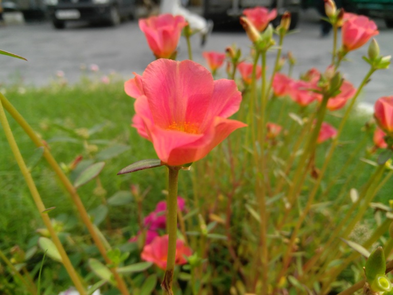 Lenovo Z2 Plus review Lenovo Z2 Plus review