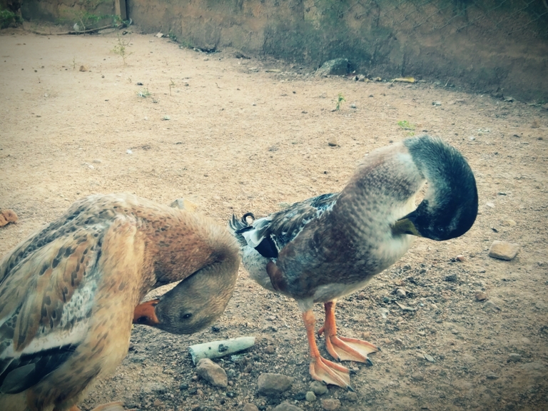 Lenovo Z2 Plus review Lenovo Z2 Plus review