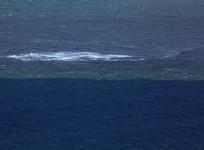 5.3 magnitude earthquake felt in Lakshadweep Sea