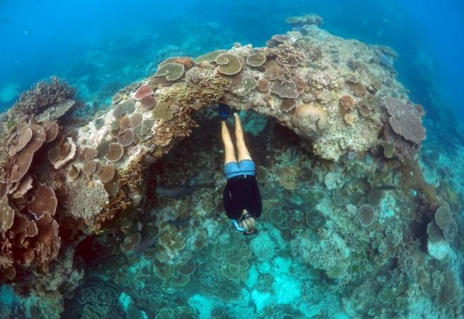 Natalie Friere, a diving and snorkelling guide, swims through a natural archway in an area called the 'Coral Gardens' located at Lady Elliot Island and 80 kilometers north-east from the town of Bundaberg in Queensland, Australia, June 10, 2015. Great Barrier Reef