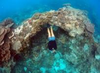 Great Barrier Reef