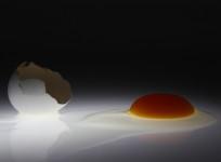 Artificial Chinese eggs story turns out to be fake