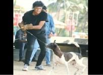 Boby Chemmanur booked for capturing stray dogs
