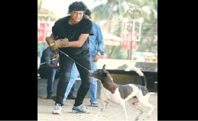 <span>Boby</span> <span>Chemmanur</span> booked for capturing stray dogs Boby Chemmanur booked for capturing stray dogs