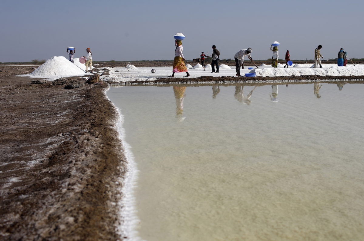 india salt production gujarat maharashtra tamil nadu consumption tata chemicals hul iodised health