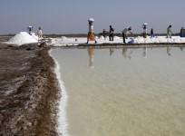 india salt production gujarat maharashtra tamil nadu consumption tata chemicals hul iodised health