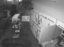 Masked men steal luxury puppies from Houston pet store
