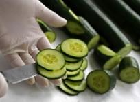 Cucumber
