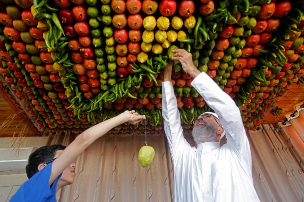 Sukkot 2016 How Jews celebrate the Feast of Tabernacles; check out the