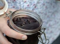 Forging in London: Which plants to pick