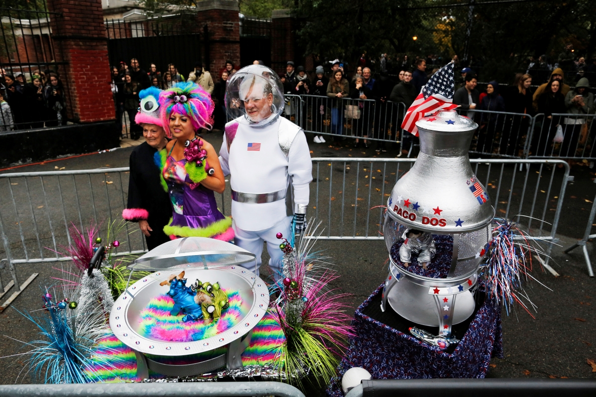 annual halloween dog parade