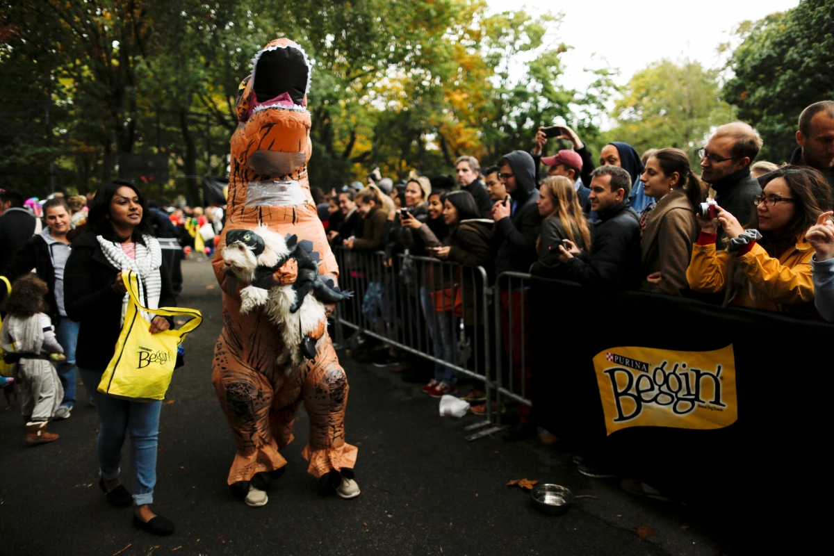 annual halloween dog parade