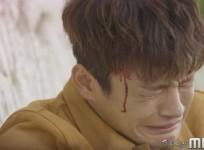 Shopping King Louie
