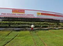 pnb punjab national bank pnb housing finance ipo share price public offer issue price listing bse nse oversubscribed data retail investors qib