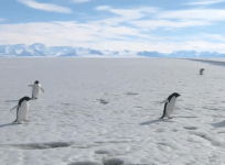 Worlds largest marine park to be created in Antarctica