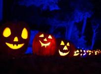 Happy Halloween 2016