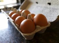 Eggs